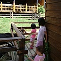 DSC08308.JPG