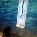 DSC09092.JPG