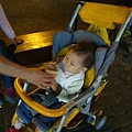 DSC08690.JPG