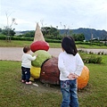 DSC09403.JPG