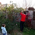 DSC05354.JPG