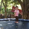 DSC08323.JPG