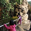 DSC05312.JPG