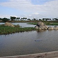 DSC09145.JPG