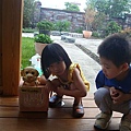 DSC08133.JPG