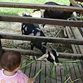 DSC08307.JPG