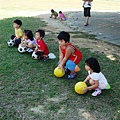 DSC08705.JPG