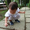 DSC07388.JPG