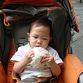 DSC08286.JPG