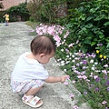 DSC08142.JPG