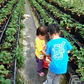 DSC06640.JPG