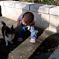 DSC05695.JPG
