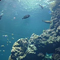 DSC07704.JPG