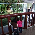 DSC06200.JPG