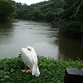DSC07959.JPG