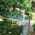 DSC08341.JPG