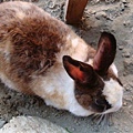 DSC08045.JPG