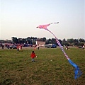 DSC05696.JPG
