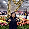 DSC09642.JPG