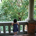 DSC07461.JPG