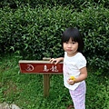 DSC07367.JPG