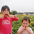 DSC06516.JPG