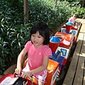 DSC08335.JPG