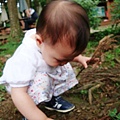 DSC07383.JPG