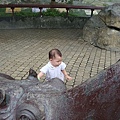 DSC07900.JPG