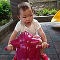 DSC07833.JPG