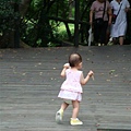 DSC07531.JPG