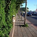 DSC07637.JPG