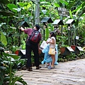 DSC07943.JPG