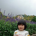 DSC07352.JPG