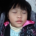 DSC09037.JPG