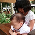 DSC07373.JPG