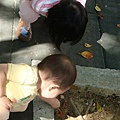 DSC08654.JPG