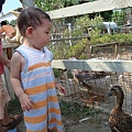 DSC08066.JPG