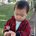 DSC09599.JPG