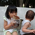 DSC08245.JPG