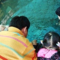 DSC09166.JPG