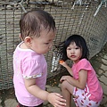 DSC08332.JPG