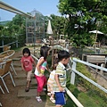 DSC08062.JPG