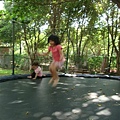 DSC08314.JPG