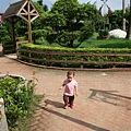 DSC08312.JPG