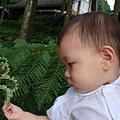 DSC07370.JPG