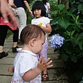 DSC07369.JPG