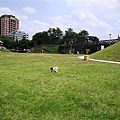 DSC08630.JPG