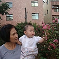 DSC08147.JPG
