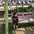 DSC06045.JPG